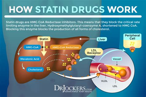 Heartburn and upset stomach are also common gastrointestinal side. . Do statins cause burping